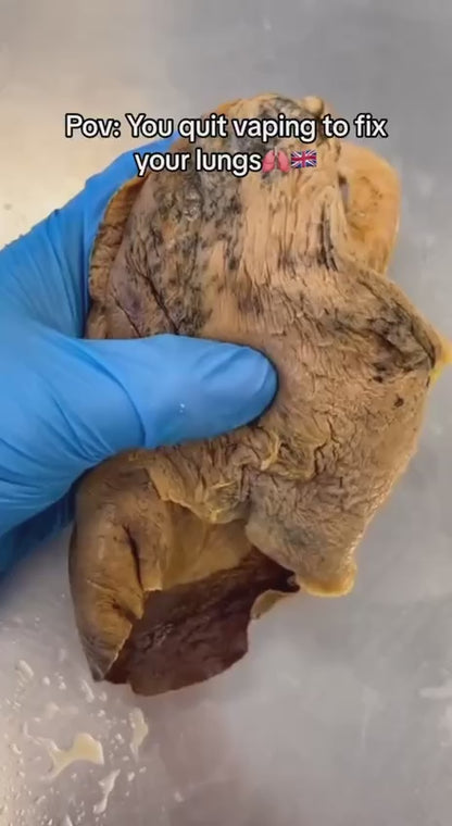 LUNG BREATHING TRAINER -